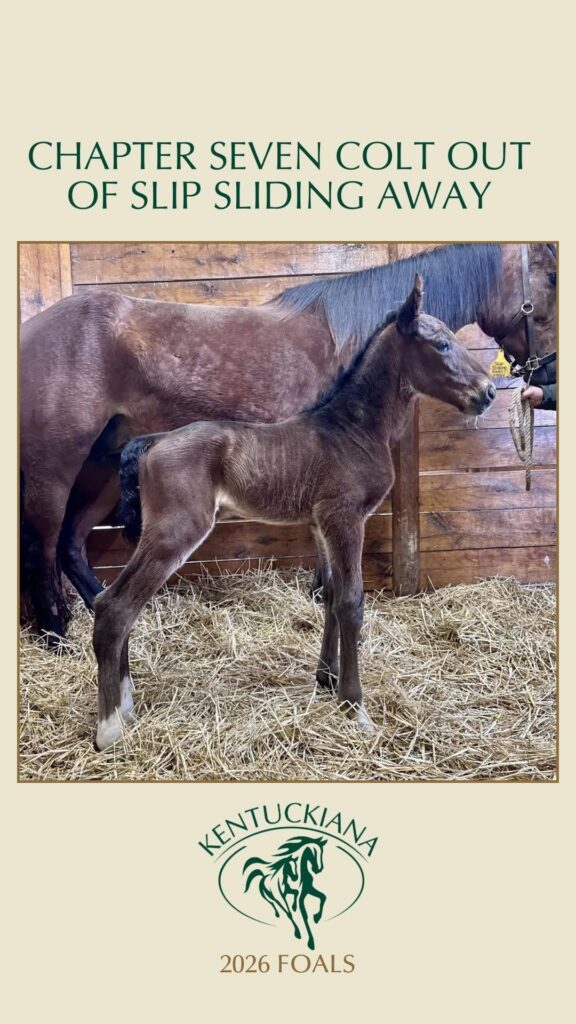 The current image has no alternative text. The file name is: Slip-Sliding-Away-foal.jpg